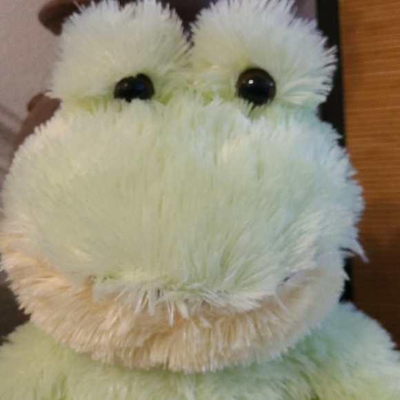 NWOT  SOFT PLUSH GREEN YELLOW FROG STUFFED ANIMAL - Picture 10 of 16